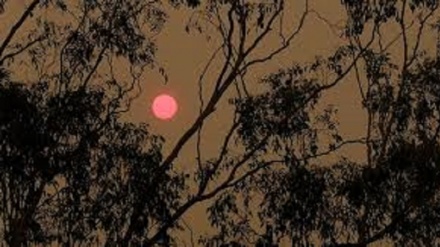 Clima: incendi Australia bloccarono sole, raffreddarono globo
