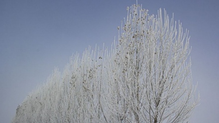 Fotos: Las primeras nevadas de la temporada en Irán