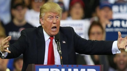 Trump Yüksek Mahkemenin seçim itirazını reddetmesine tepkili