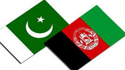 کاهش 50 درصدی قاچاق کالا  بین افغانستان و پاکستان