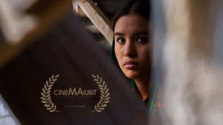伊朗短片在罗马尼亚电影节上获得特别奖