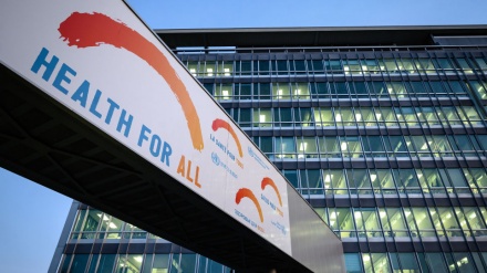 全球新冠确诊病例超7040万例