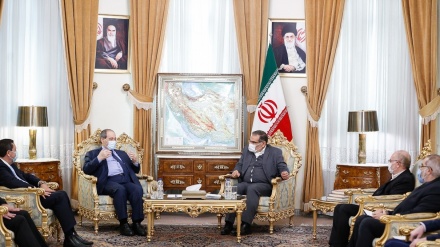 沙姆哈尼：没有犹太复国主义政权，世界将更安全