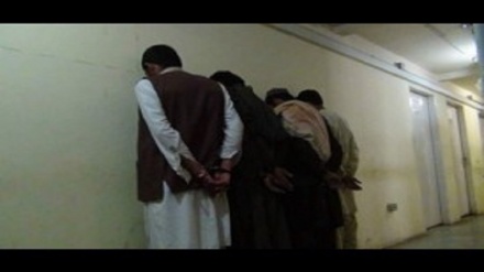 بازداشت 4 عضو گروه طالبان در ولسوالی پغمان کابل