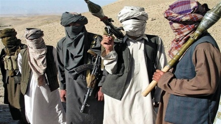کشته شدن 12تن از طالبان در ولسوالی دهراوود ارزگان