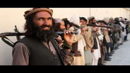 عالمان دینی سوریه جنگ طالبان در افغانستان را غیرشرعی خواندند