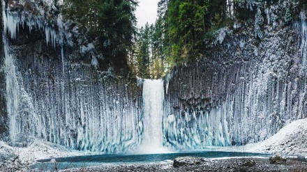 (FOTO DEL GIORNO) No comment