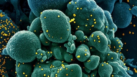 Nature, un 2020 straordinario per la scienza