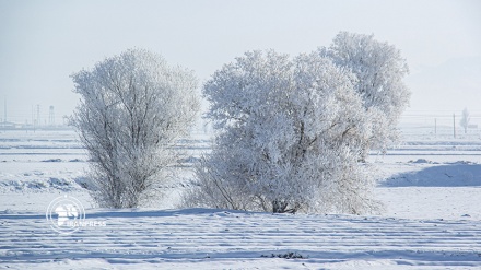 (VIDEO), Iran: la bellissima nevicata in Ardebil