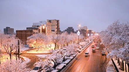 Musim Gugur akan Berakhir, Ardabil Memutih 