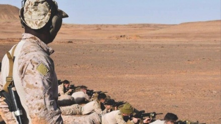 沙特与美国举行联合演习