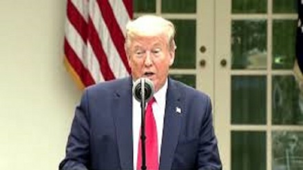 Elezioni presidenziali? Trump: un tasso di errore del 68% 