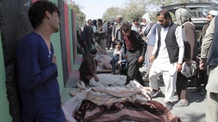  Number of Afghan civilians killed by US-led airstrikes rose by 330%: Study 