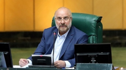 מועצת השורא העבירה לממשלה את חוק היוזמה האסטרטגית לביטול האמגברגו                                                     