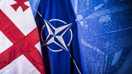 Грузия Европа Иттифоқи ва Нато ташкилотига қўшилишга ҳаракат қилмоқда 