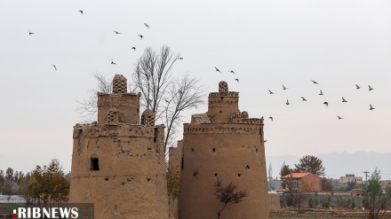 (FOTO) Iran, le Piccionaie di Isfahan: l'architettura intelligente per gli uccelli- 1