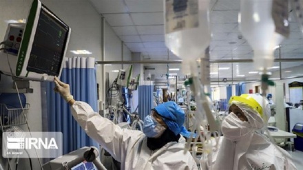 321 nəfər İronıj Koronavirusiku mardən, məntəğədə bıə Covid-19 vəziyətku oxonə xəbəron.