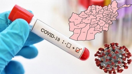 کرونا در افغانستان؛ 263 مبتلا جدید و فوت 22 نفر