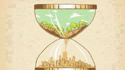 (VIGNETTE) Distruzione delle foreste: conto alla rovescia verso l'estinzione