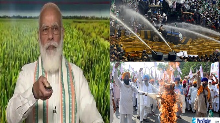 लाखों की संख्या में भारत के किसान क्यों कर रहे हैं प्रदर्शन? नया कृषि क़ानून क्या कहता है? नए क़ानून से किसानों के लिए क्या है समस्या?