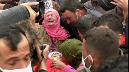 国連が、イスラエルによるパレスチナ人少年の殉教に関する調査を要請