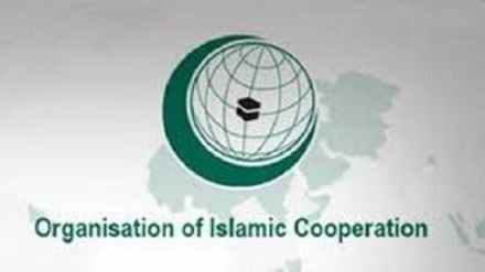L’OCI condanna uccisione del minorenne palestinese