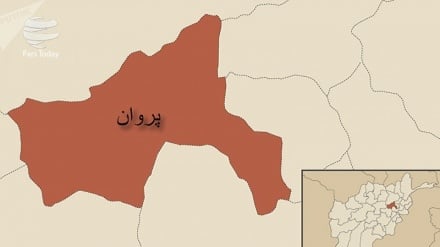 کشته شدن 5 نیروی امنیتی در ولایت پروان +صوت