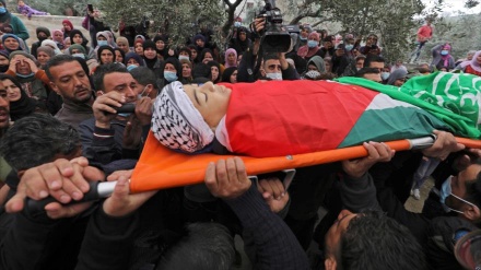 UE repudia asesinato de un menor palestino por militares de Israel