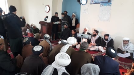 تاکید علمای دینی ولایت بلخ بر حرام بودن کشت و قاچاق مواد مخدر