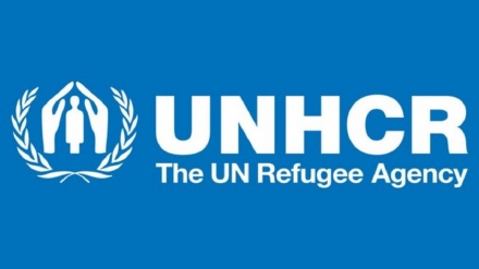 تقدیر آژانس پناهندگان سازمان ملل از ایران برای اعطای تابعیت به فرزندان زنان ایرانی