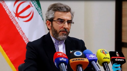JCPOA violators, unlike Iran, far from meaningful negotiating table: Baqeri-Kani 