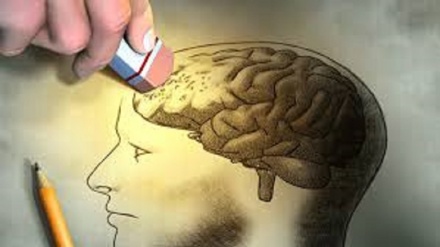 Tendenza a dimenticare è sinonimo di efficienza del cervello