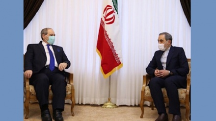 Këshilltari i Liderit Suprem: Rezistenca e popullit sirian prishi komplotin ndërkombëtar të armiqve