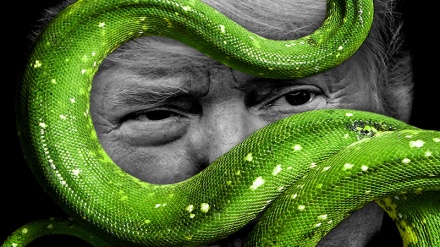 ट्रम्प एक ही समय में बच्चे भी और ज़ख़्मी सांप भी! व्हाइट हाउस में बने रहने के लिए ट्रम्प की कुछ ऐसी योजना जो ख़ून कि नदियां भी बहा सकती है