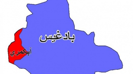 طالبان مسلح در مقابله با دولت افغانستان با همدیگر همکاری می کنند+صوت