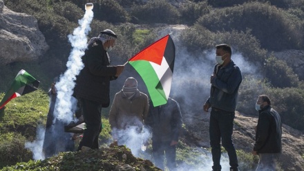 Dozens of Palestinian protesters injured by Israeli forces