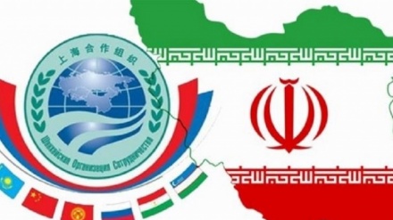 Irán y la OCS: Énfasis de Teherán en el uso de las capacidades regionales para la cooperación