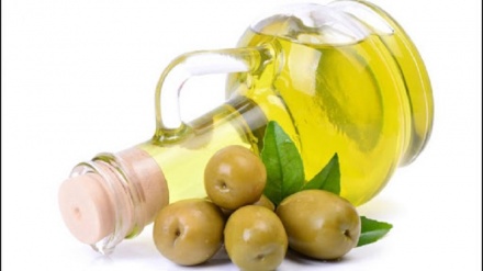 Il cambiamento climatico minaccia gli olivi e l'olio come li conosciamo oggi