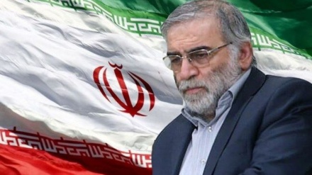Funcionario estadounidense revela papel de Israel en el asesinato de científico iraní