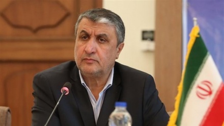 Hetimet në lidhje me aksidentin e avionit ukrainas janë kryer në mënyrë profesionale