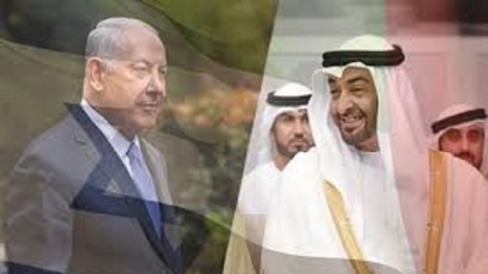 'Vergognoso', il comportamento turistico dei coloni negli Emirati