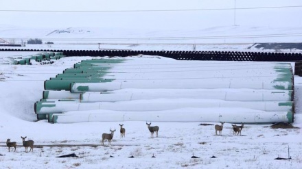 Biden revokes Keystone XL permit, Canada disappointed