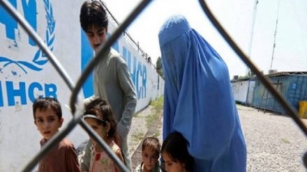 بازگشت بیش از ۸۶۵ هزار مهاجر افغان از ایران و پاکستان در ۲۰۲۰