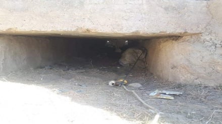 جلوگیری از وقوع دو انفجار در کابل