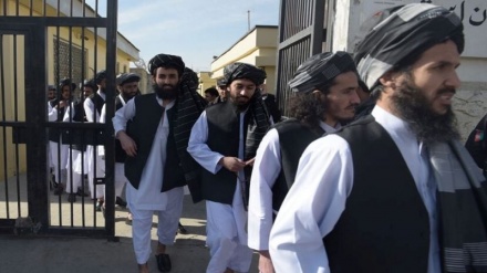 مخالفت دولت افغانستان به درخواست طالبان