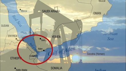 Madola vamizi yazidi kuiba mafuta ya wananchi maskini wa Yemen