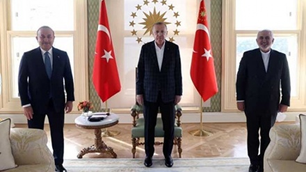 Zarif und Erdogan erörten diverse Themen