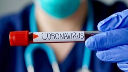 Koronavirusi mığobilədə ıştə immuniteti çokonə zumandkəmon