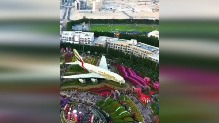 Miracle Garden гүл бағы - Дубай ғажайыптарының бірі