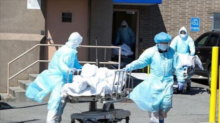 美国新冠病毒死亡病例超过42.7万例